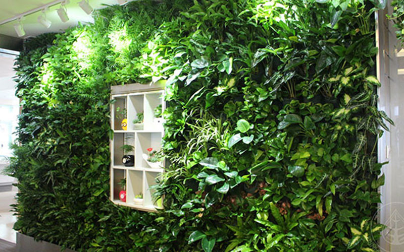 办公室背景植物墙